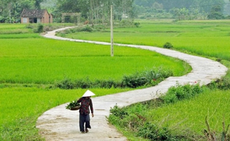 Trong lặng im những mùi... - Tản văn của Nguyễn Chí Ngoan