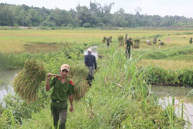 Cán bộ Công an lội bùn giúp dân gặt lúa, dựng lại nhà sau bão - Ảnh minh hoạ 9