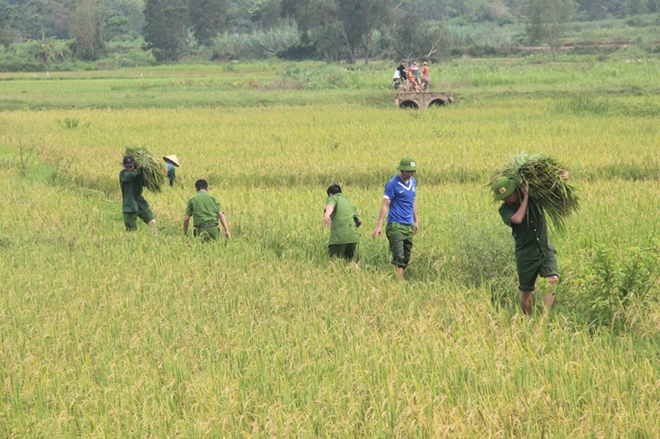 Cán bộ Công an lội bùn giúp dân gặt lúa, dựng lại nhà sau bão - Ảnh minh hoạ 5