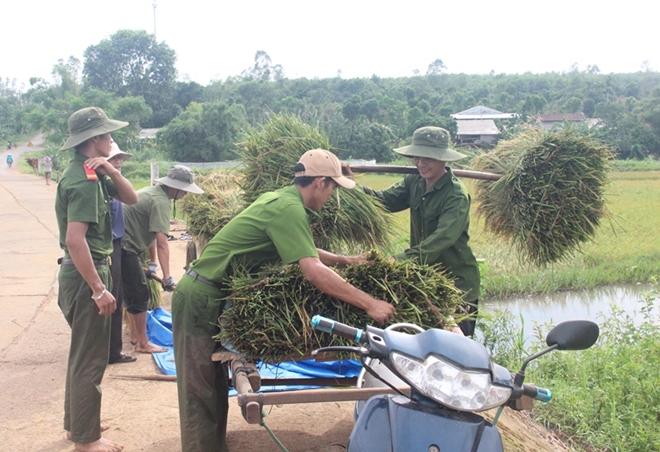 Cán bộ Công an lội bùn giúp dân gặt lúa, dựng lại nhà sau bão - Ảnh minh hoạ 10