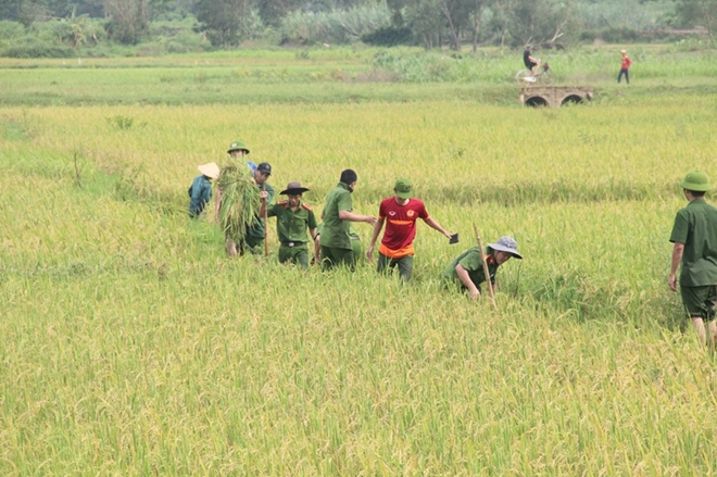 Cán bộ Công an lội bùn giúp dân gặt lúa, dựng lại nhà sau bão - Ảnh minh hoạ 3