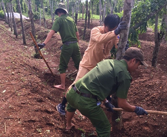 Cán bộ Công an lội bùn giúp dân gặt lúa, dựng lại nhà sau bão - Ảnh minh hoạ 13