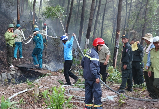 Cảnh sát PCCC cứu rừng giữa biển lửa - Ảnh minh hoạ 4