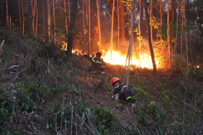 Cảnh sát PCCC cứu rừng giữa biển lửa - Ảnh minh hoạ 5