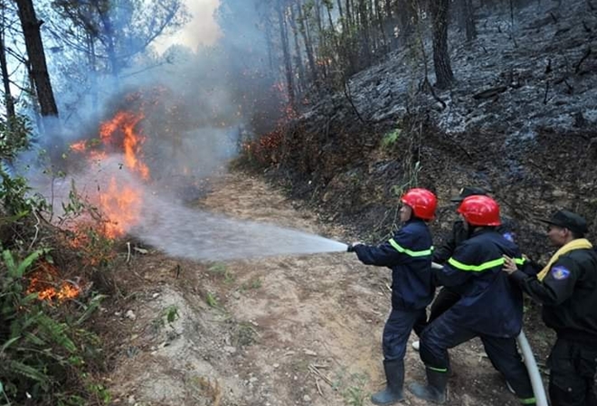 Cảnh sát PCCC cứu rừng giữa biển lửa - Ảnh minh hoạ 6