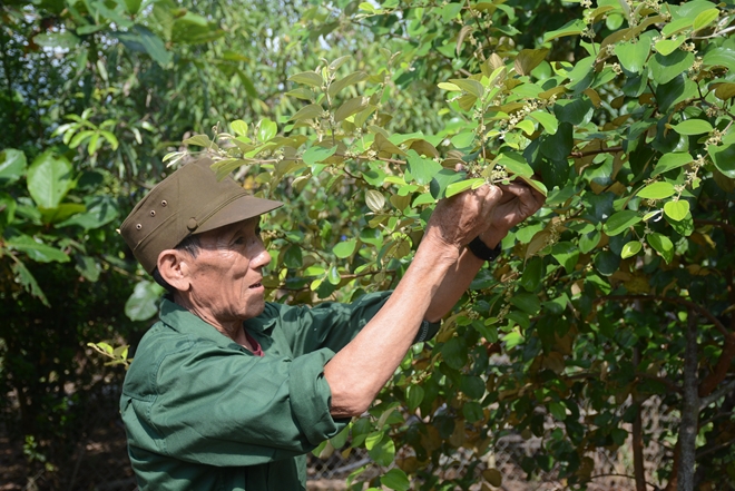 Có một chiến sĩ Công an nhân dân vũ trang người Si La - Ảnh minh hoạ 2