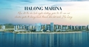 Halong Marina: Khu đô thị du lịch chuẩn quốc tế tại Hạ Long Halong Marina: Khu đô thị du lịch chuẩn quốc tế tại Hạ Long