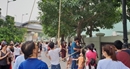 Cư dân Royal City và Times City phấn khích khi thu hoạch xoài Cư dân Royal City và Times City phấn khích khi thu hoạch xoài