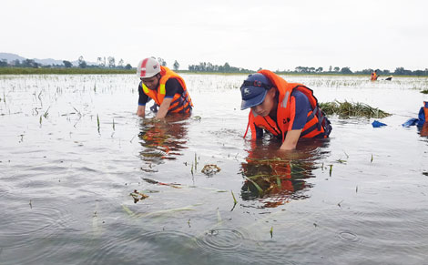 Công an bơi đẩy bè đưa hàng nghìn người dân qua vùng ngập lũ - Ảnh minh hoạ 17