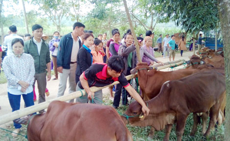 Công an Thanh Hóa phối hợp trao quà trên 1,2 tỉ đồng cho nhân dân thiệt hại do mưa lũ - Ảnh minh hoạ 5