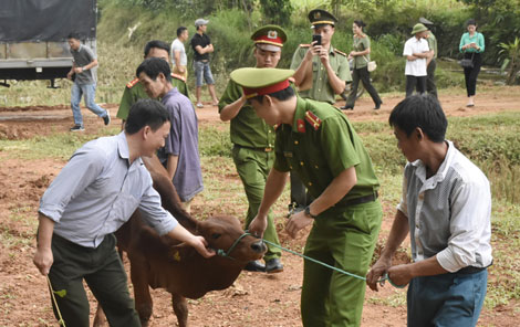 Công an Thanh Hóa phối hợp trao quà trên 1,2 tỉ đồng cho nhân dân thiệt hại do mưa lũ - Ảnh minh hoạ 10