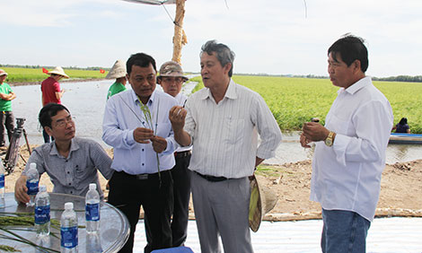 Hội thảo đầu bờ về phát triển giống lúa nổi tại Trạm giam Thạnh Hòa - Ảnh minh hoạ 2