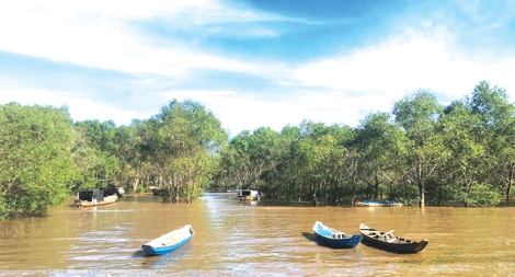 Những vạt rừng mang tên các anh