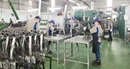 Cắt giảm điều kiện kinh doanh: Chất lượng quan trọng hơn số lượng Cắt giảm điều kiện kinh doanh: Chất lượng quan trọng hơn số lượng