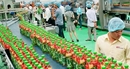 Tân Hiệp Phát khánh thành nhà máy nước giải khát lớn nhất đồng bằng sông Cửu Long Tân Hiệp Phát khánh thành nhà máy nước giải khát lớn nhất đồng bằng sông Cửu Long