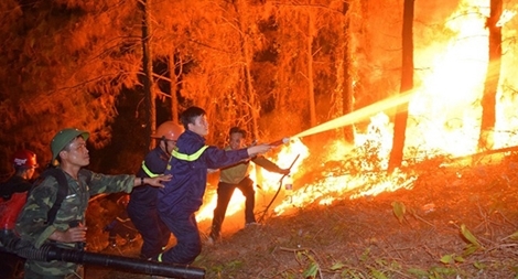 Những người ngày đêm căng mình trong biển lửa để giữ rừng ở Hà Tĩnh