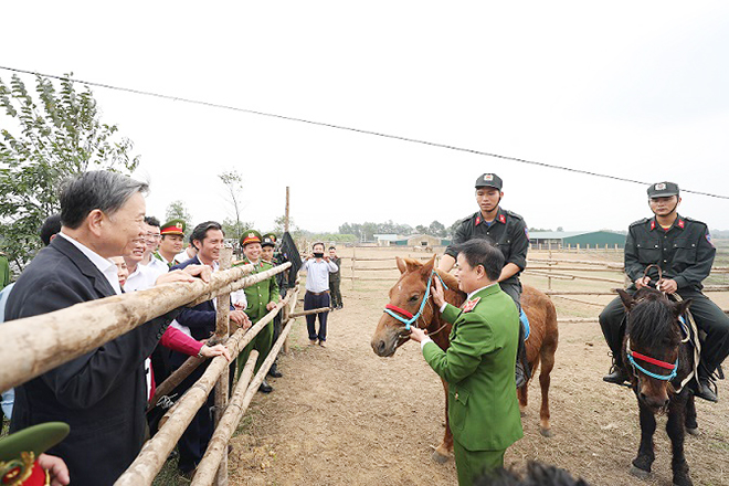 Chăm sóc, huấn luyện tốt các cá thể ngựa phục vụ lực lượng Kỵ binh - Ảnh minh hoạ 2