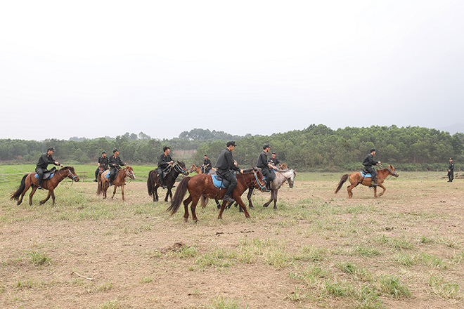Chăm sóc, huấn luyện tốt các cá thể ngựa phục vụ lực lượng Kỵ binh - Ảnh minh hoạ 3