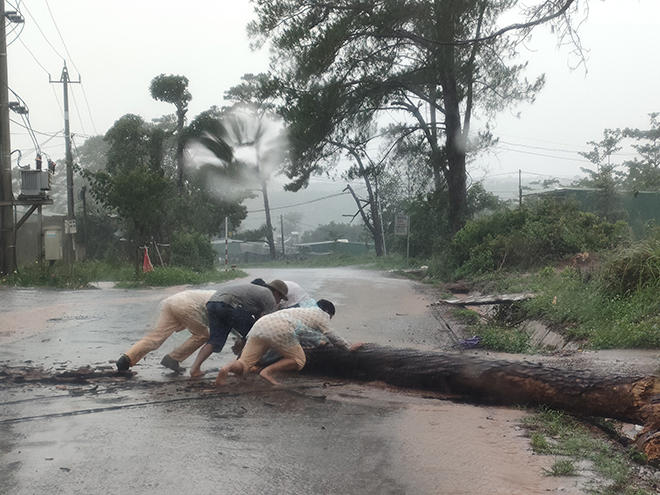 CSGT dầm mưa cùng người dân dọn cây gỗ lớn đổ ngang đường - Ảnh minh hoạ 2