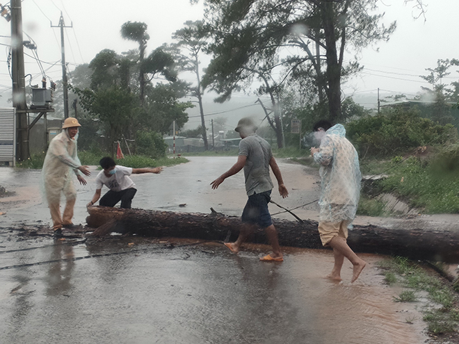 CSGT dầm mưa cùng người dân dọn cây gỗ lớn đổ ngang đường