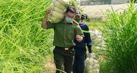 Công an Lâm Đồng hỗ trợ TP Hồ Chí Minh 17 tấn rau