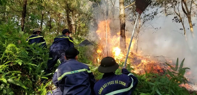 Hàng chục cảnh sát nỗ lực dập tắt vụ cháy rừng thông