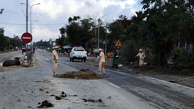 CSGT Quảng Nam dọn rác thông tuyến QL1A sau mưa lũ - Ảnh minh hoạ 2