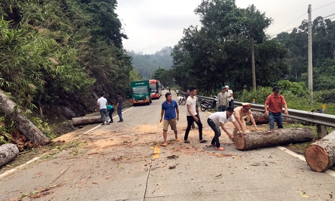 CSGT dọn dẹp cây cổ thụ đổ chắn ngang đường Hồ Chí Minh