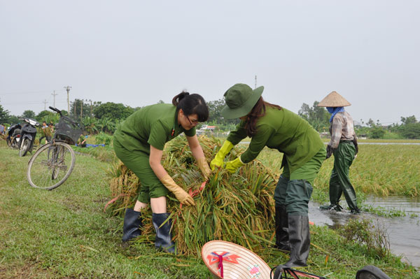Công an Ninh Bình giúp dân sau mưa lũ