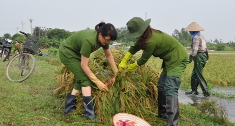 Công an Ninh Bình giúp dân sau mưa lũ