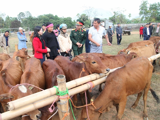 Viettel trao tặng bò giống cho các hộ nghèo ở Bá Thước, Thanh Hóa - Ảnh minh hoạ 2