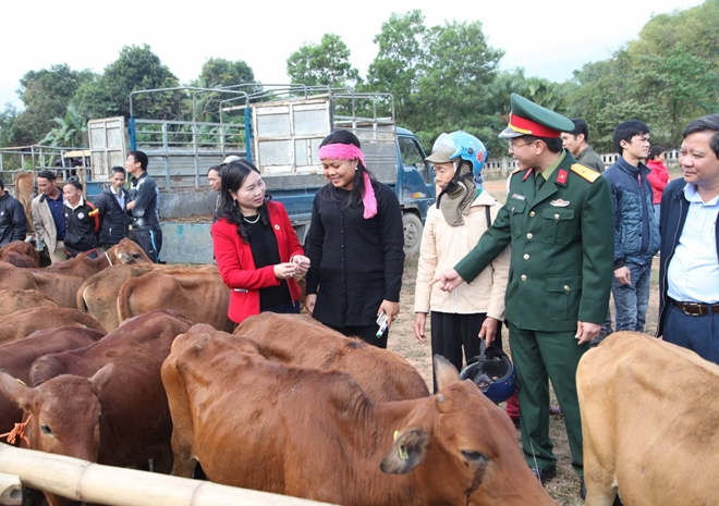 Viettel trao tặng bò giống cho các hộ nghèo ở Bá Thước, Thanh Hóa - Ảnh minh hoạ 3