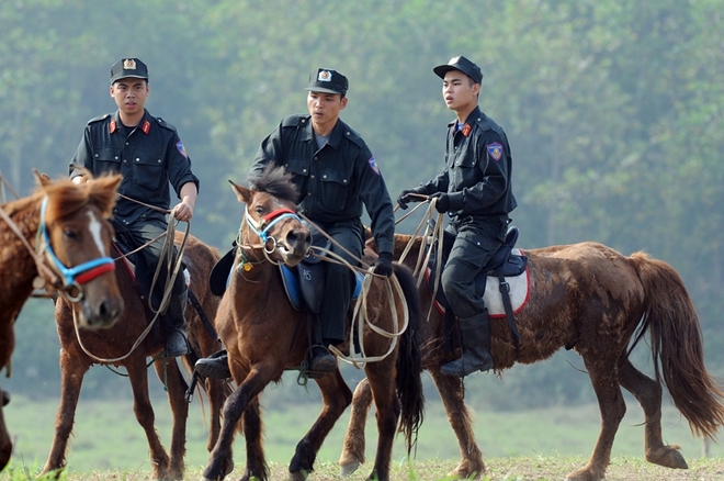 Chuyện chưa biết về  Đoàn Cảnh sát cơ động Kỵ binh1 - Ảnh minh hoạ 2