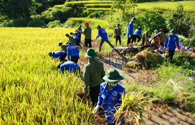 Tuổi trẻ Học viện ANND giúp bà con khắc phục hậu quả mưa lũ - Ảnh minh hoạ 2