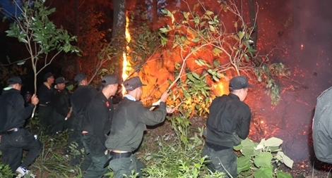 Trung đoàn Cảnh sát cơ động Đông Bắc chống "giặc lửa", cứu rừng tại Quảng Ninh
