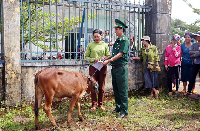 Khối thi đua số 9 tỉnh ĐắK Nông tặng học bổng và bò giống cho bà con nghèo - Ảnh minh hoạ 2