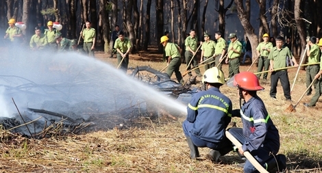 Diễn tập chữa cháy rừng ở Gia Lai