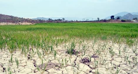 Ngân hàng Thế giới hỗ trợ Việt Nam tăng cường khả năng ứng phó với biến đổi khí hậu