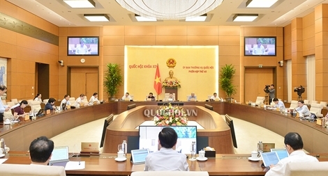 Chốt phương án chuyển đổi đầu tư dự án cao tốc Bắc Nam phía Đông
