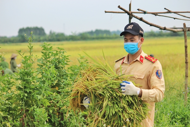 Công an Bắc Giang sau truy vết F0 lại gặt lúa giúp dân