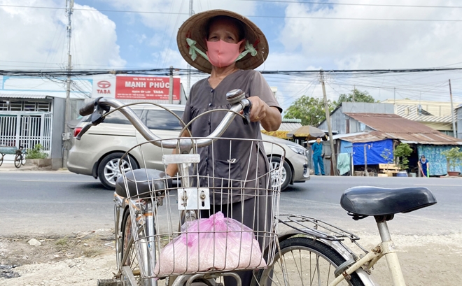 Nhiều cây 