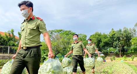 Công an An Giang gửi tặng TP Hồ Chí Minh 30 tấn nông sản