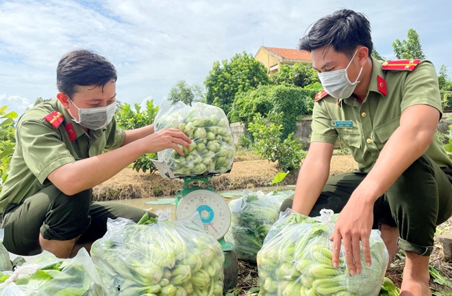 Công an An Giang gửi tặng TP Hồ Chí Minh 30 tấn nông sản - Ảnh minh hoạ 5