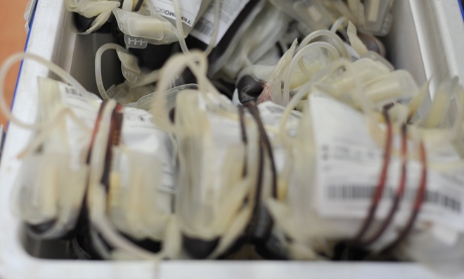 Hàng trăm cán bộ, chiến sỹ Công an Đắk Lắk hiến máu cứu người - Ảnh minh hoạ 6