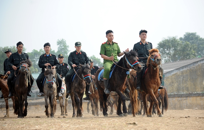 CSCĐ Kỵ binh thuần dưỡng ngựa nơi thao trường - Ảnh minh hoạ 5