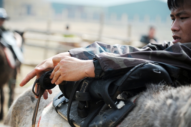 CSCĐ Kỵ binh thuần dưỡng ngựa nơi thao trường - Ảnh minh hoạ 3