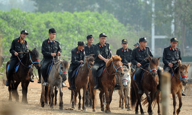 CSCĐ Kỵ binh thuần dưỡng ngựa nơi thao trường - Ảnh minh hoạ 10