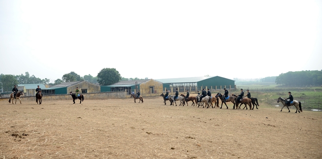 CSCĐ Kỵ binh thuần dưỡng ngựa nơi thao trường - Ảnh minh hoạ 13