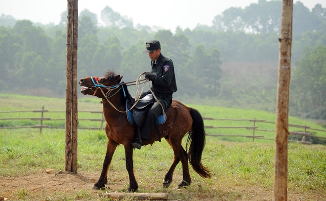 CSCĐ Kỵ binh thuần dưỡng ngựa nơi thao trường - Ảnh minh hoạ 2