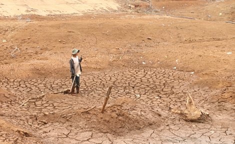 Hàng ngàn nông dân lo trắng tay, vỡ nợ vì hạn hán